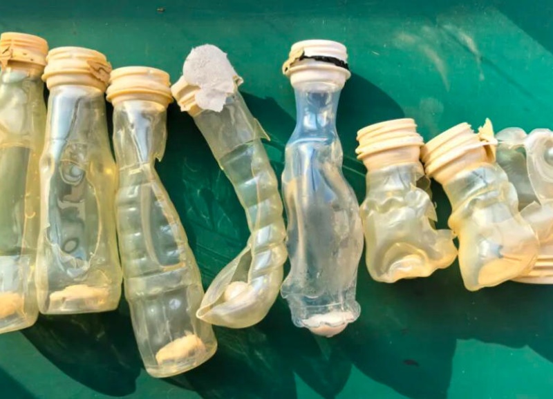 Plus qu'une simple élimination des bouteilles barrières : DATABEYOND est le pionnier de la technologie de fusion à double capteur